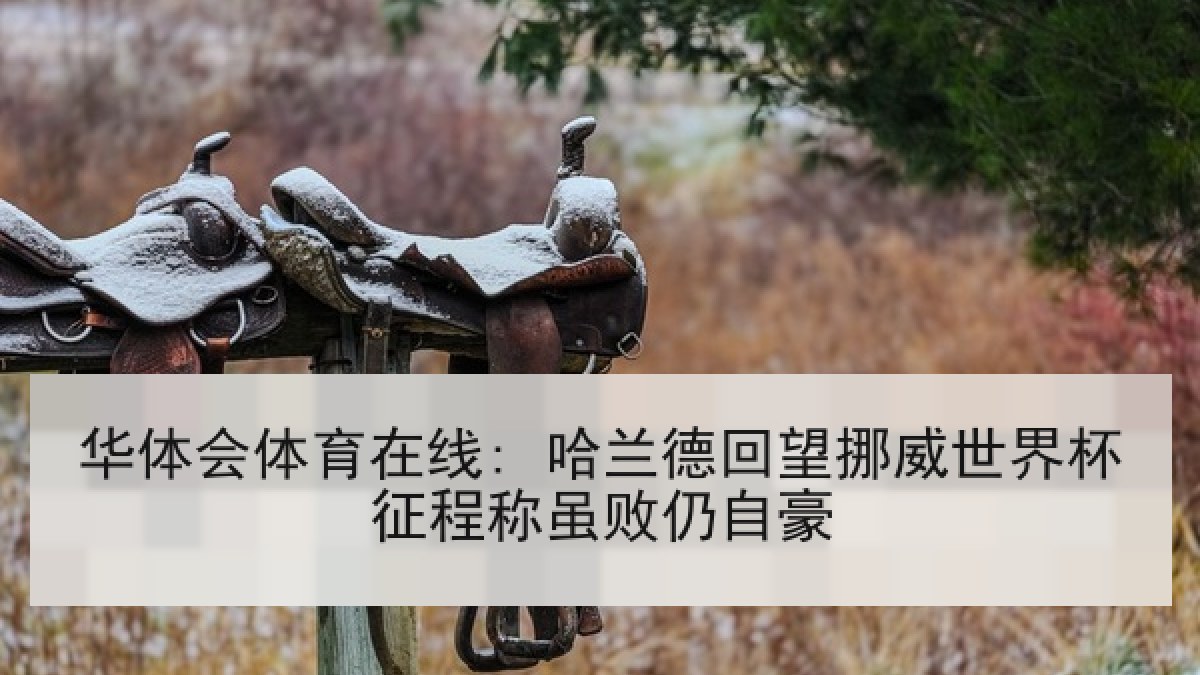 华体会体育在线: 哈兰德回望挪威世界杯征程称虽败仍自豪